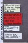 Etikette zu Ectinus catei (NHMW-ZOO-COL-0008819)